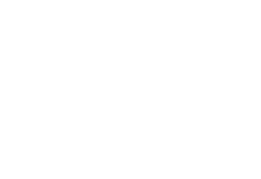 Flowair logo