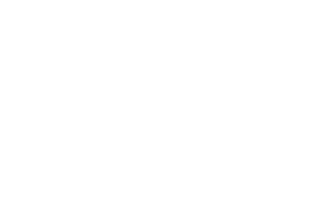 mikomax_logo